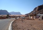 16 janvier Wadi Rum